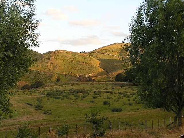 NZ leden-unor 2006 018.jpg